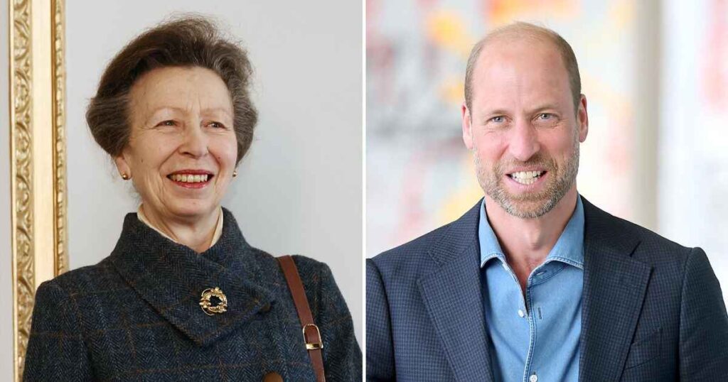 Inside Princess Anne and Prince William's Relationship Over Time